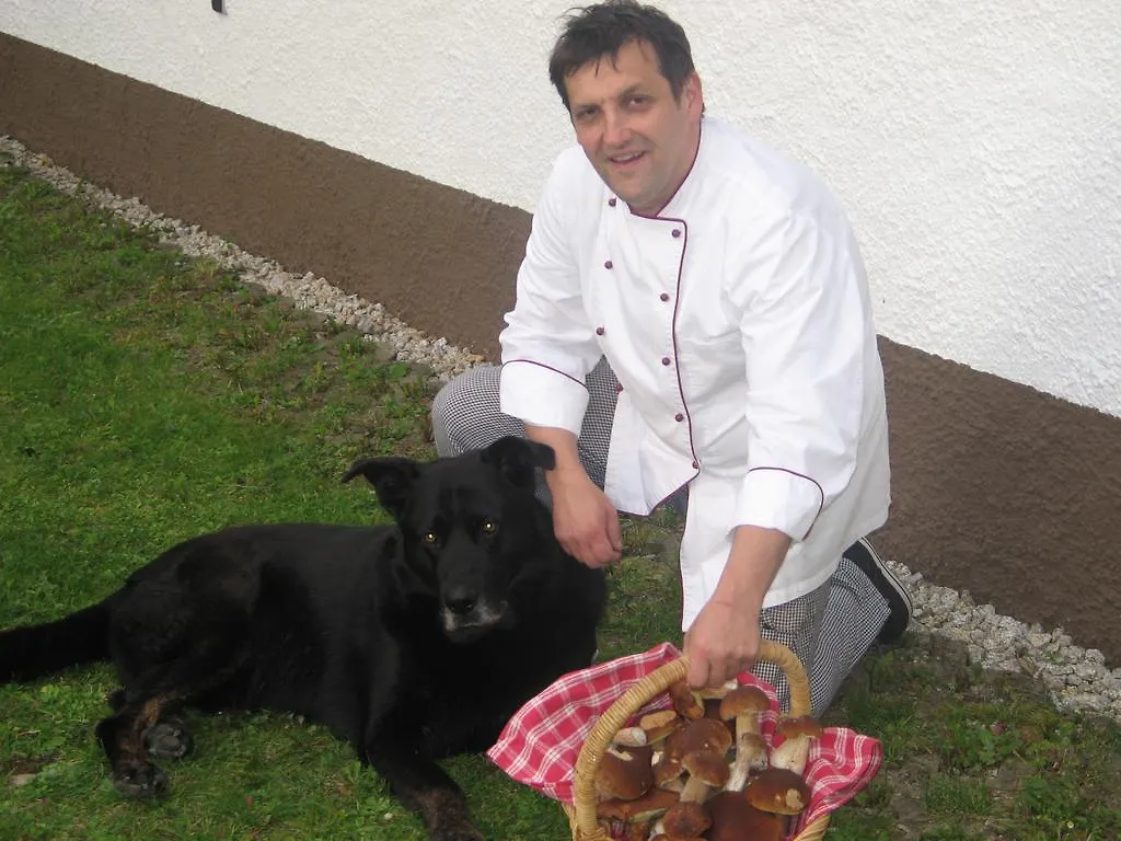Hotel Gasthof-Pension Leupold Selbitz